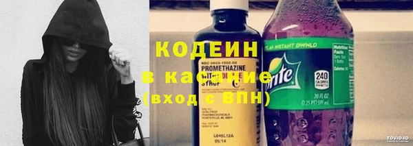 хмурый Бородино
