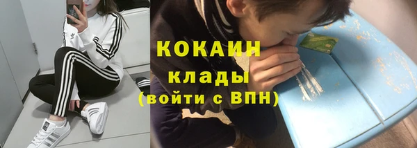 хмурый Бородино