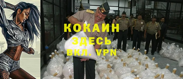 соль ск Богданович
